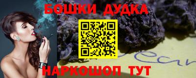 прущие крисы Будённовск