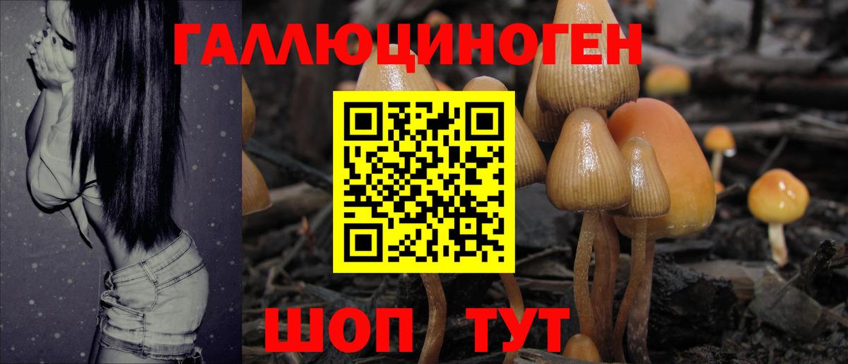 наркотики  Вход с VPN  Кумертау  Галлюциногенные грибы Magic Shrooms  Галлюциногенные грибы MAGIC MUSHROOMS 